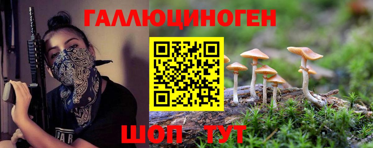 Псилоцибиновые грибы Psilocybine cubensis  Вход с VPN  Богданович 