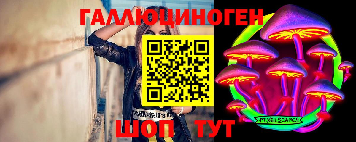 Псилоцибиновые грибы Cubensis Богданович